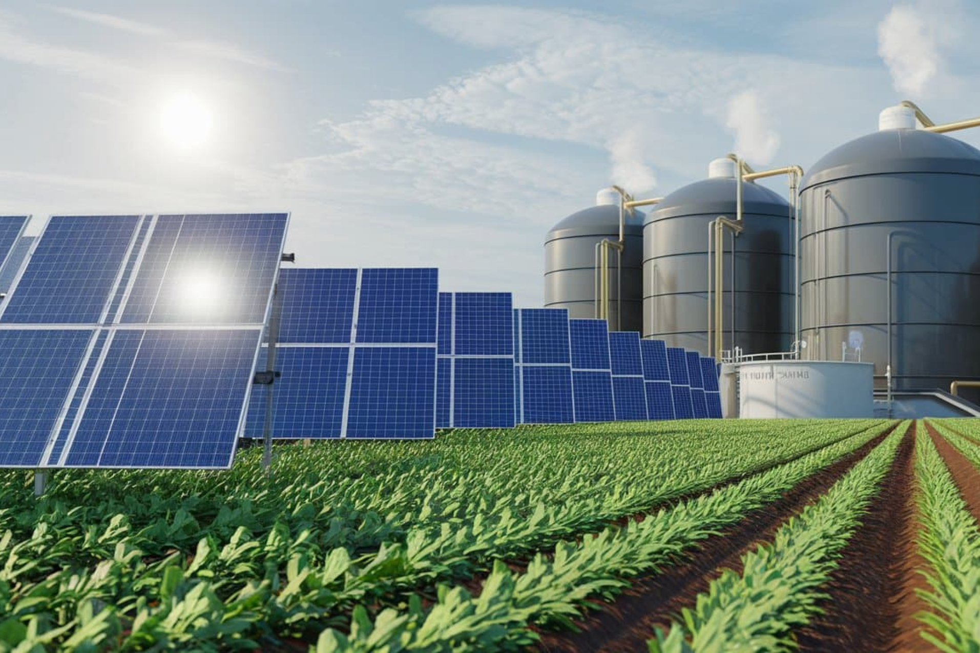 Biogas Solar Village